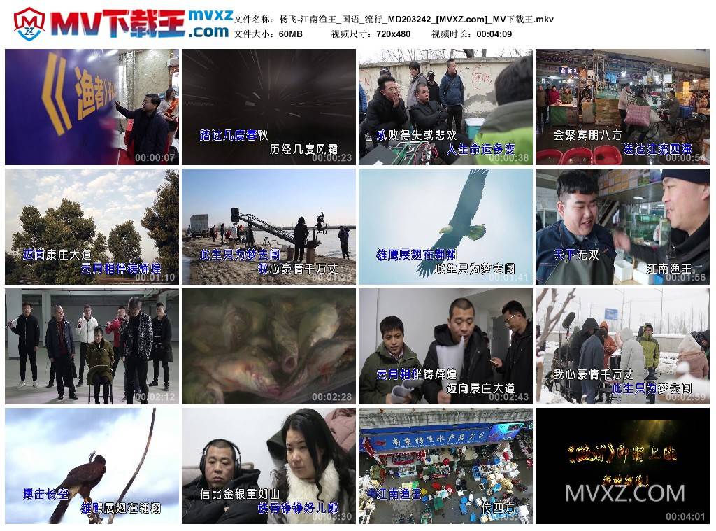 杨飞-江南渔王_国语_流行_MD203242